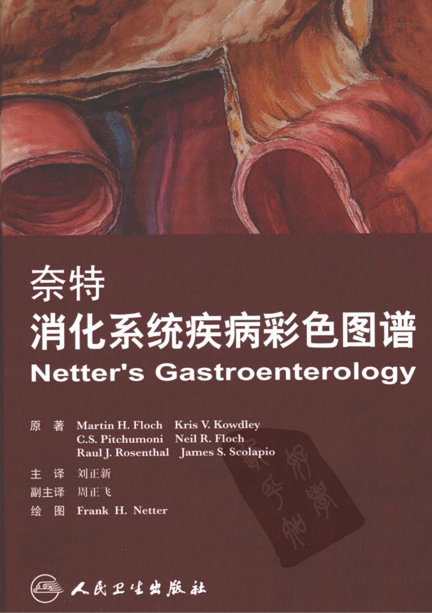 奈特消化系统疾病彩色图谱