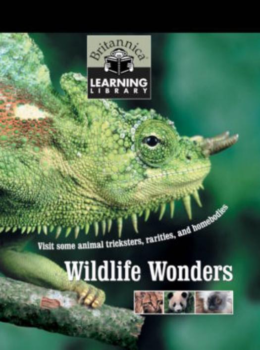 wildlife wonders