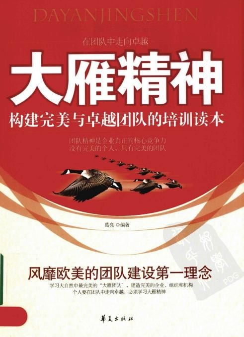 大雁精神：构建完美与卓越团队的培训读本