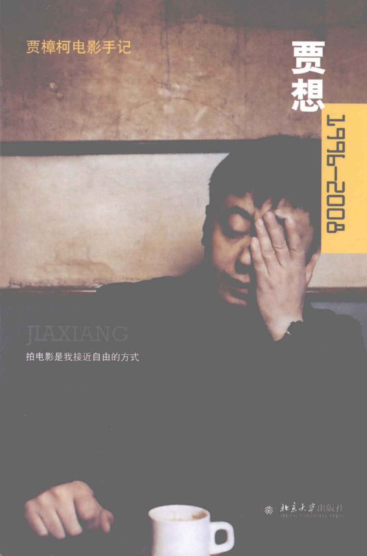 贾想1996—2008：贾樟柯电影手记