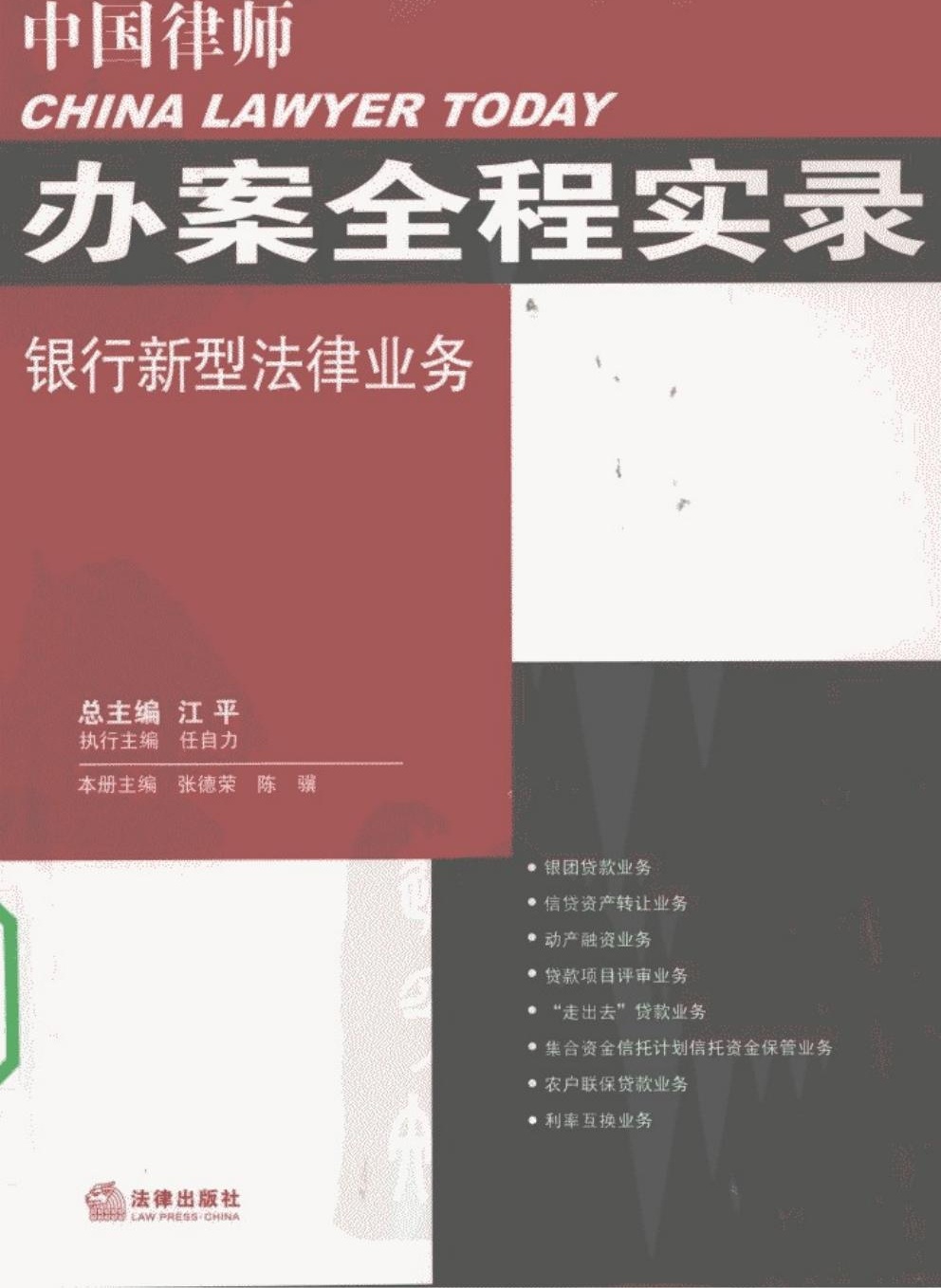 中国律师办案全程实录 银行新型法律业务