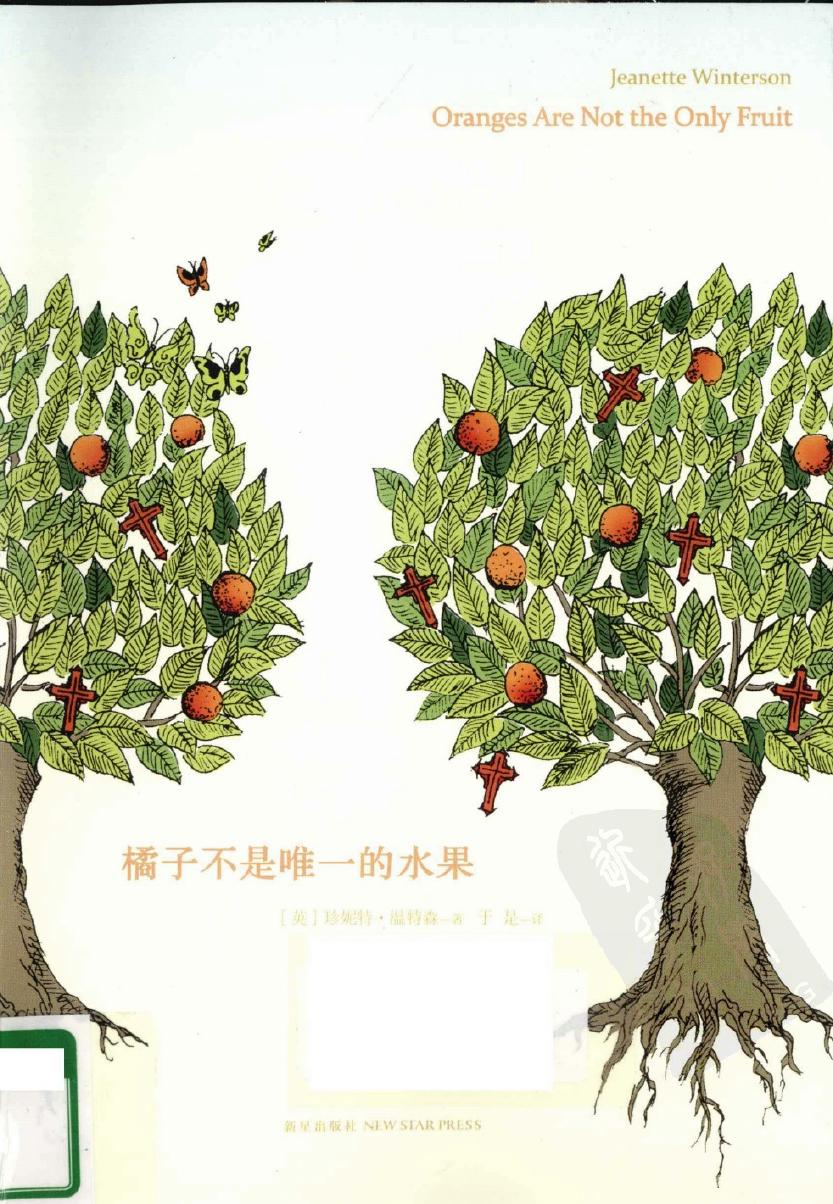 橘子不是唯一的水果