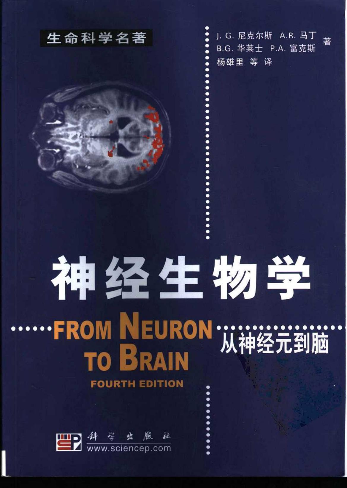 神经生物学——从神经元到脑