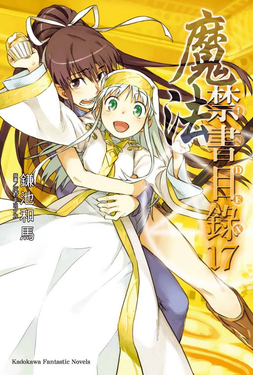 魔法禁书目录 17