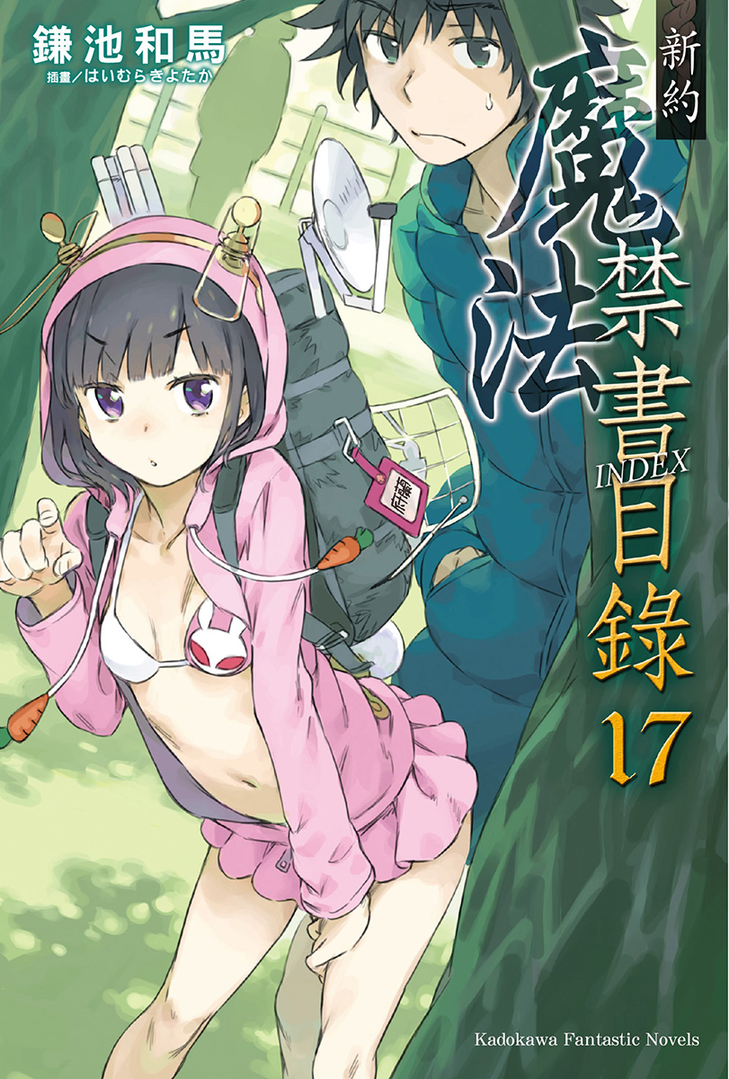 魔法禁书目录 新约 17