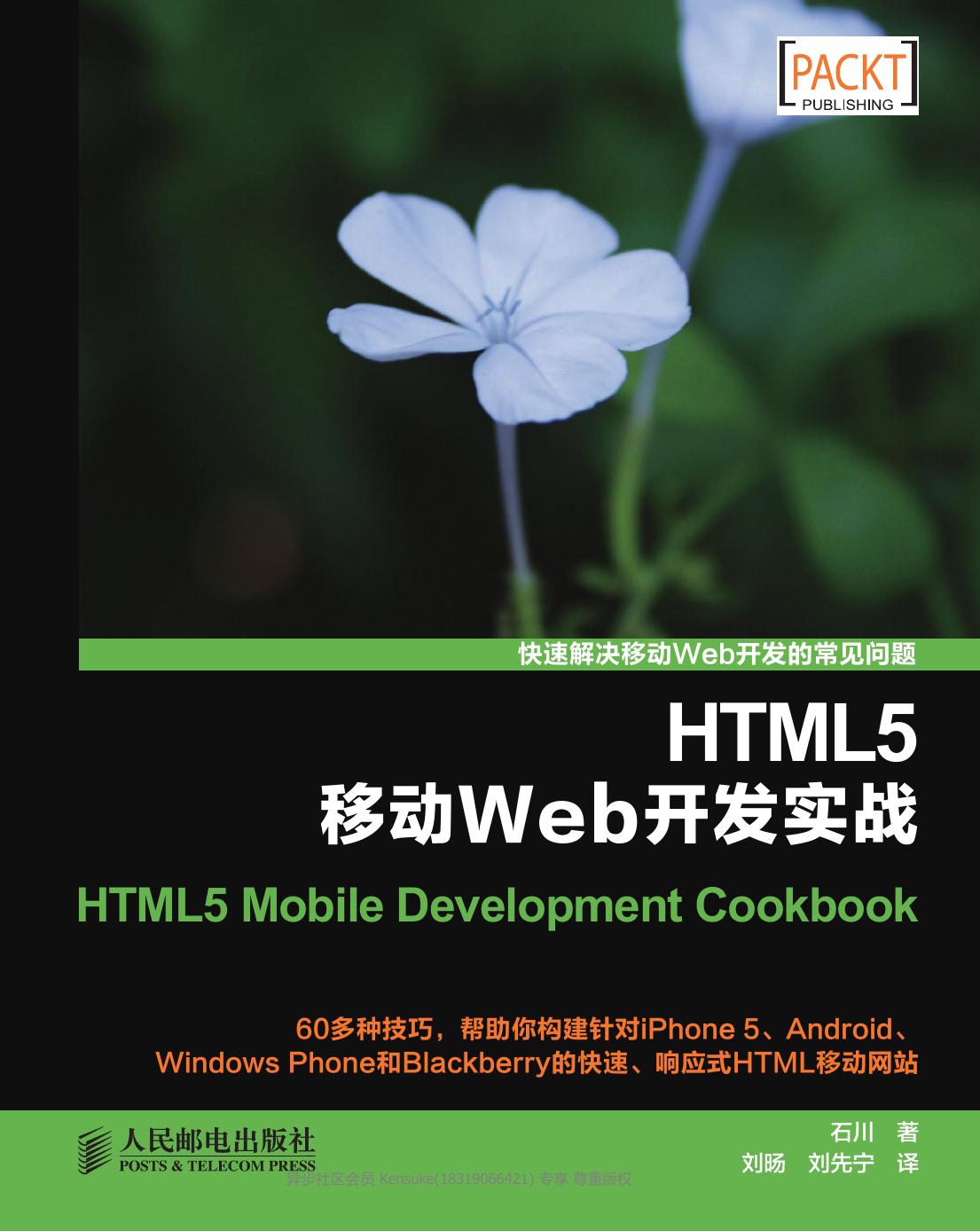 HTML5移动Web开发实战