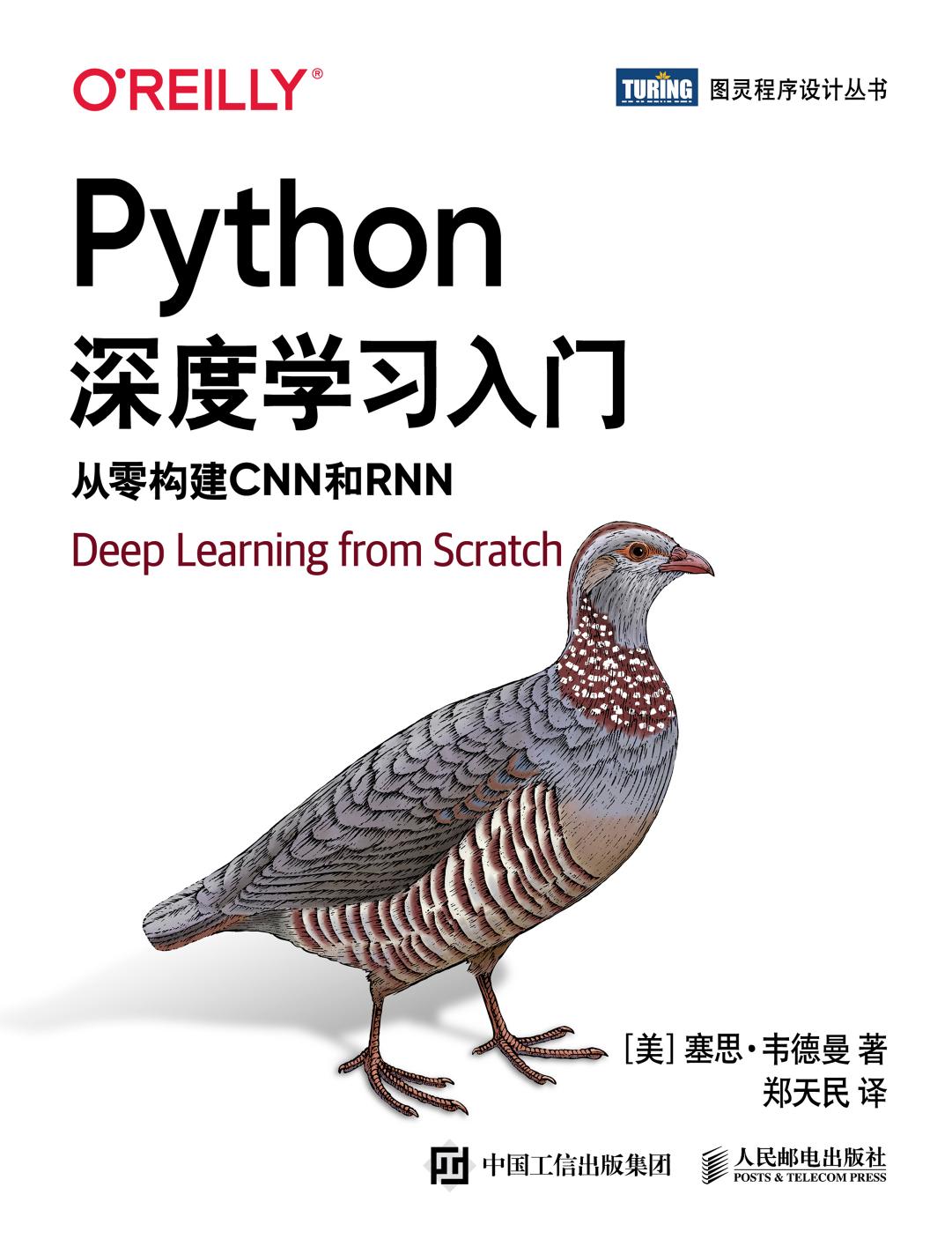 Python深度学习入门：从零构建CNN和RNN