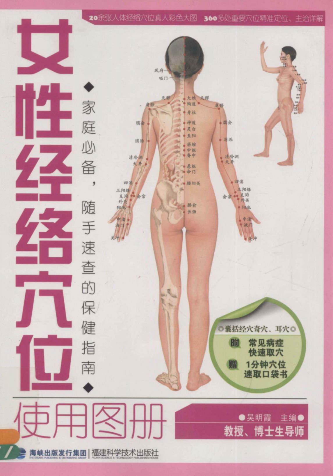 女性经络穴位使用图册
