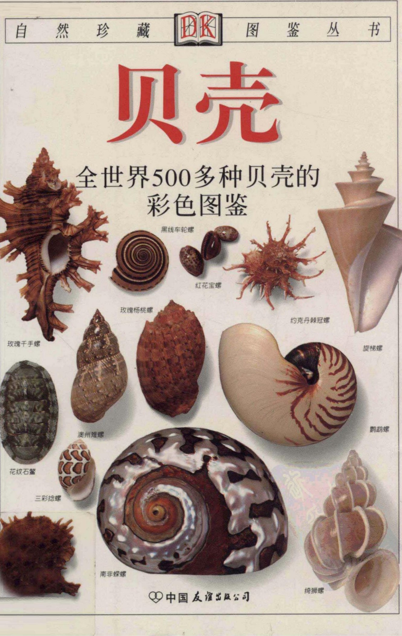 贝壳：全世界500多种贝壳的彩色图鉴
