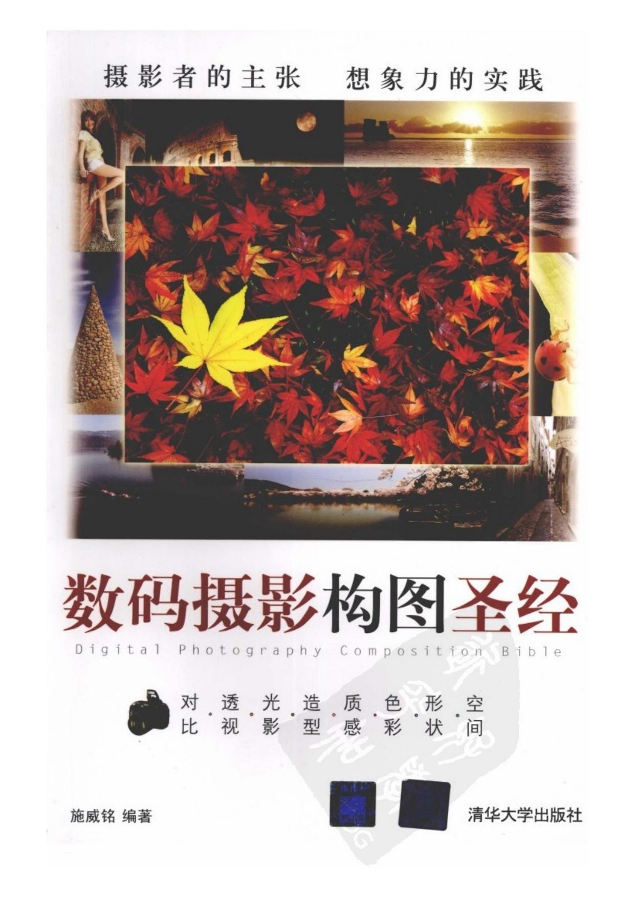 数码摄影构图圣经