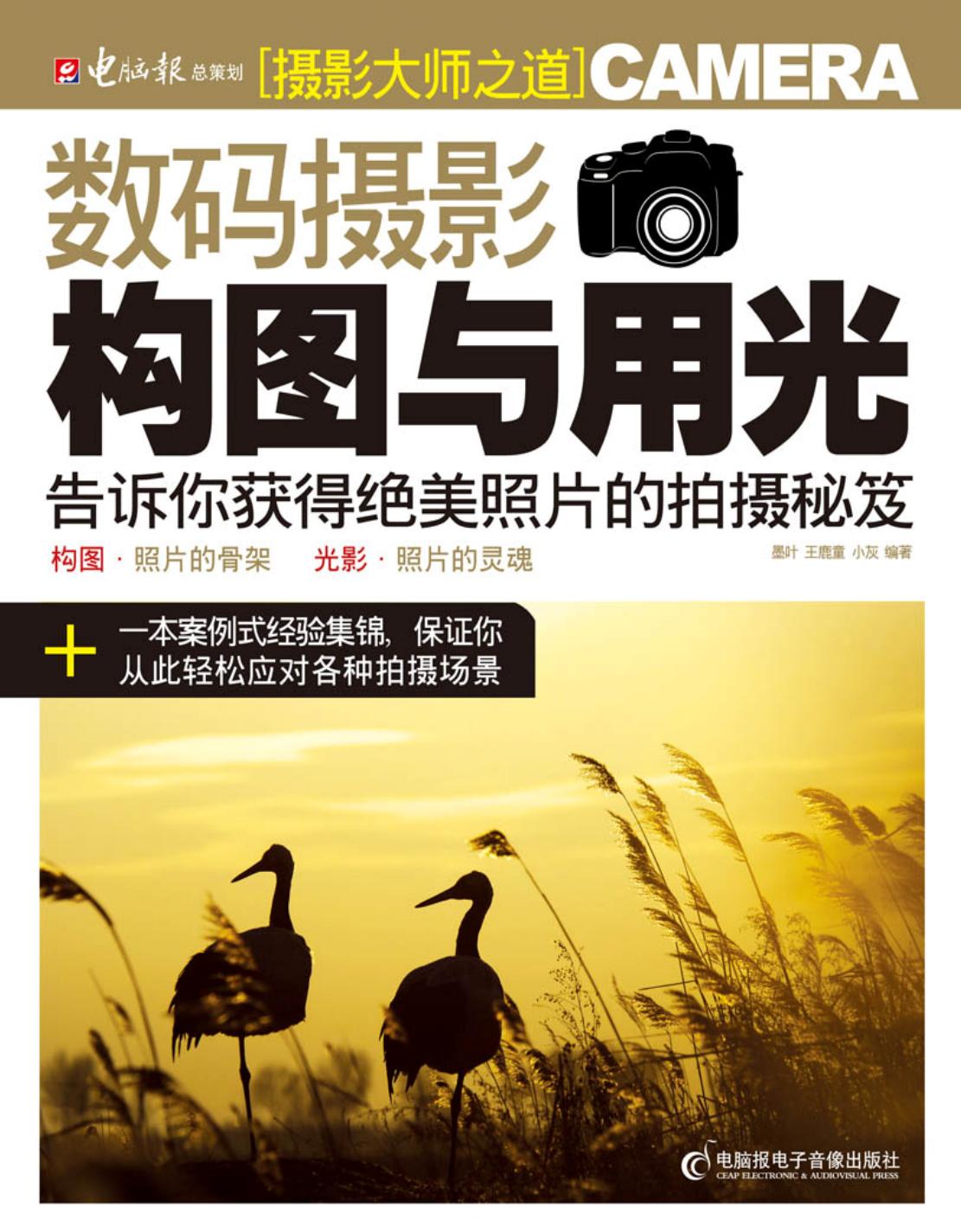 摄影大师之道：数码摄影构图与用光，告诉你获得绝美照片的拍摄秘笈