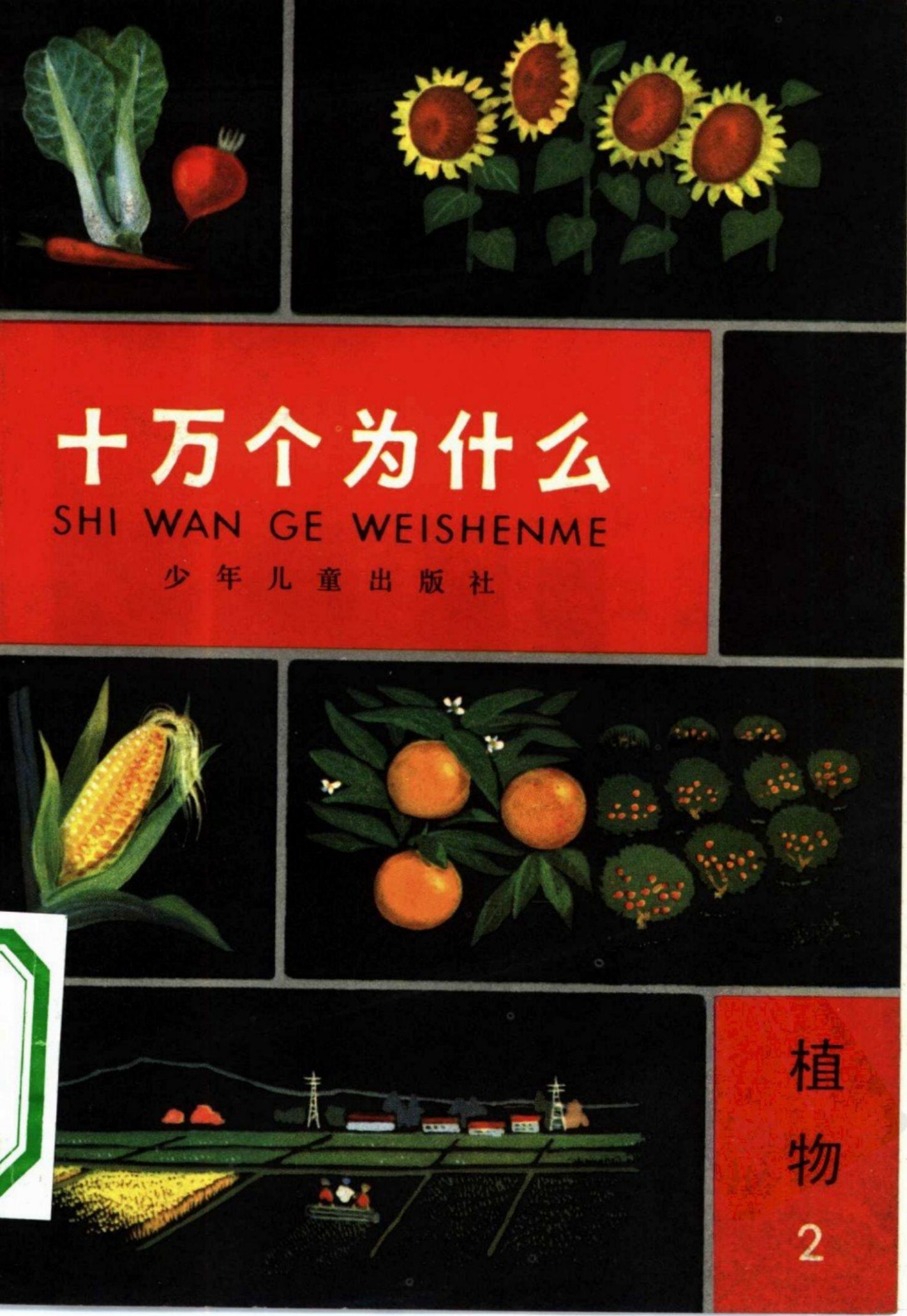 十万个为什么 植物 2