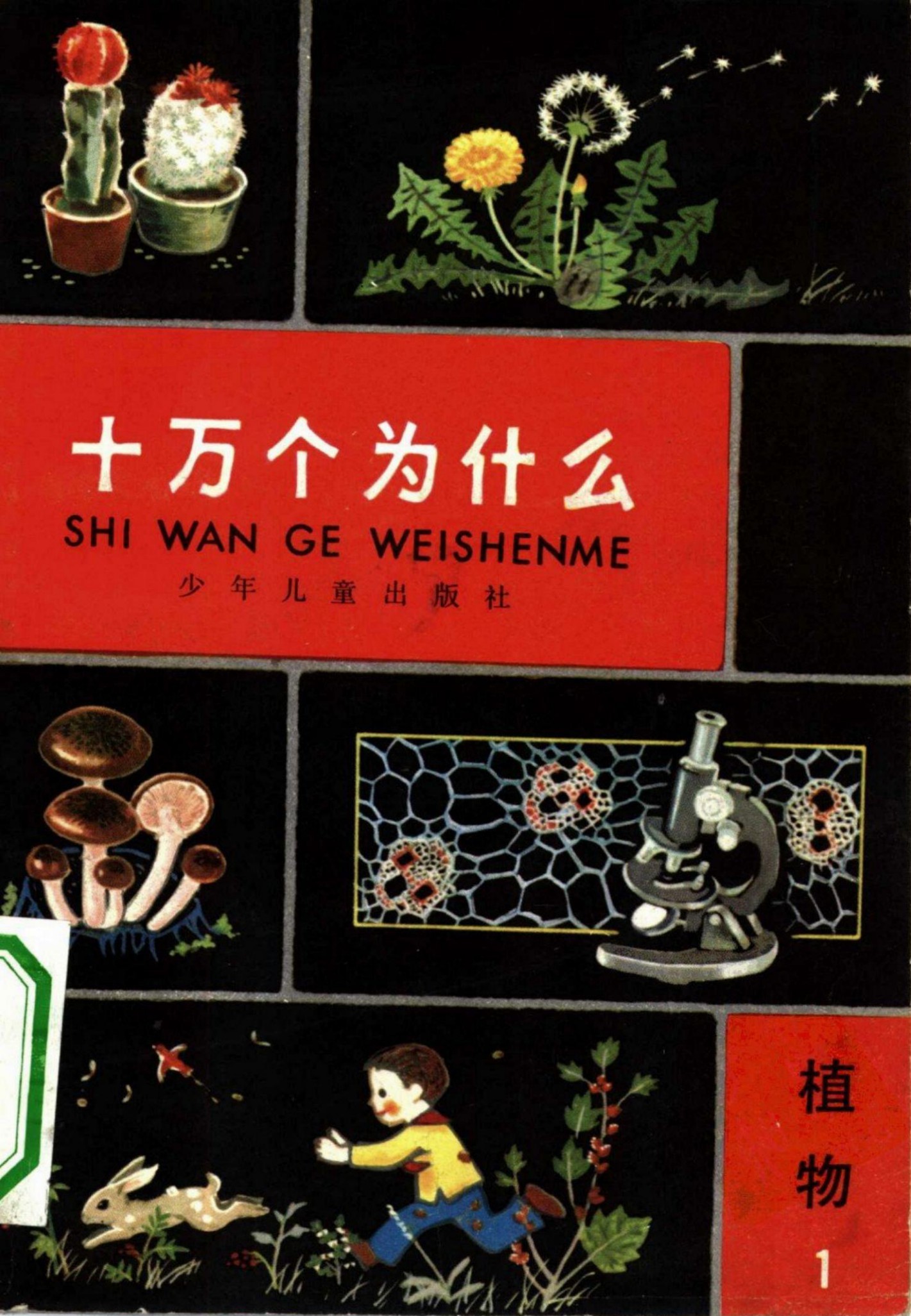 十万个为什么 植物 1