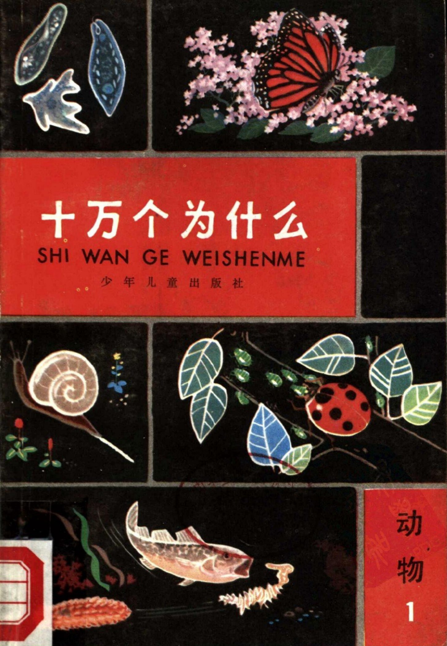 十万个为什么 动物 1