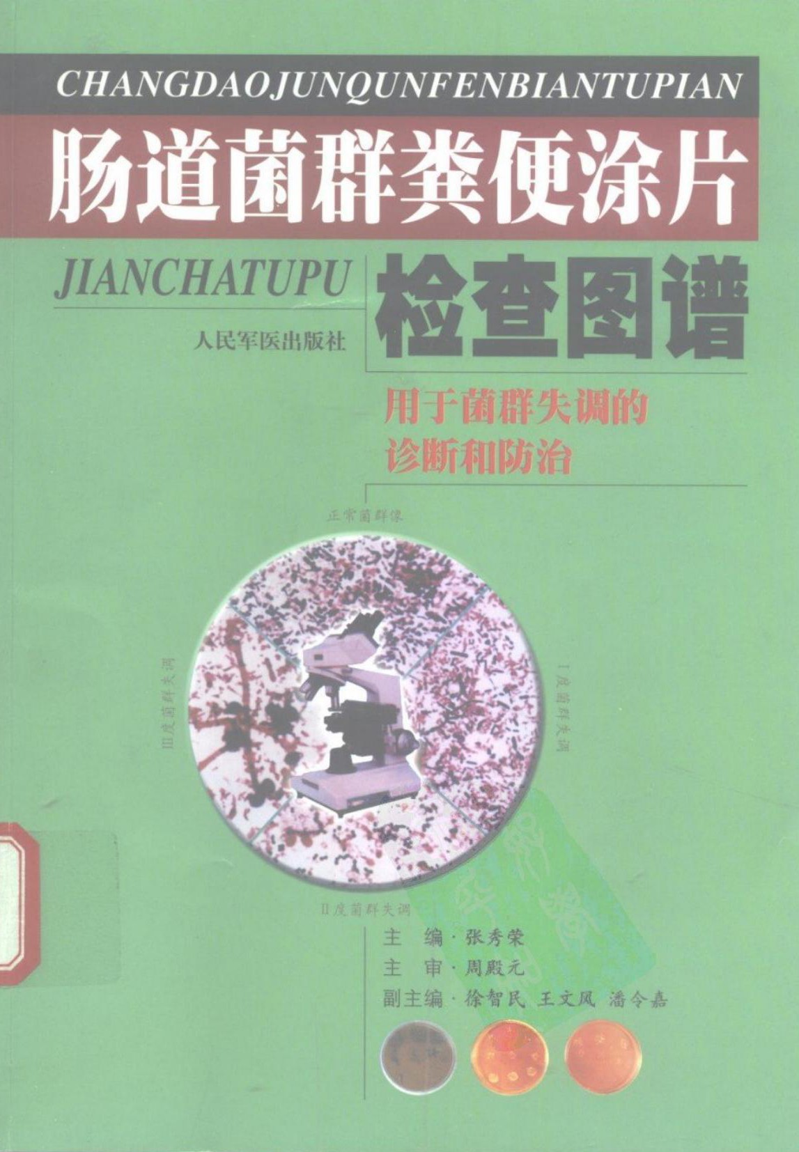 肠道菌群粪便涂片检查图谱