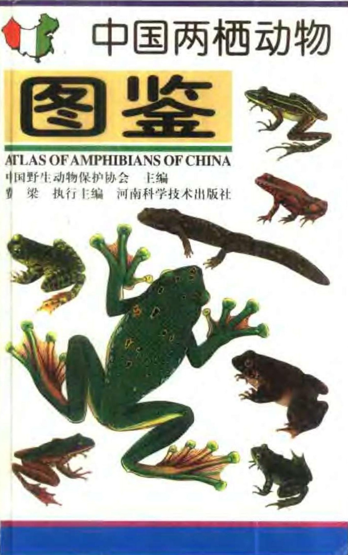 中国两栖动物图鉴