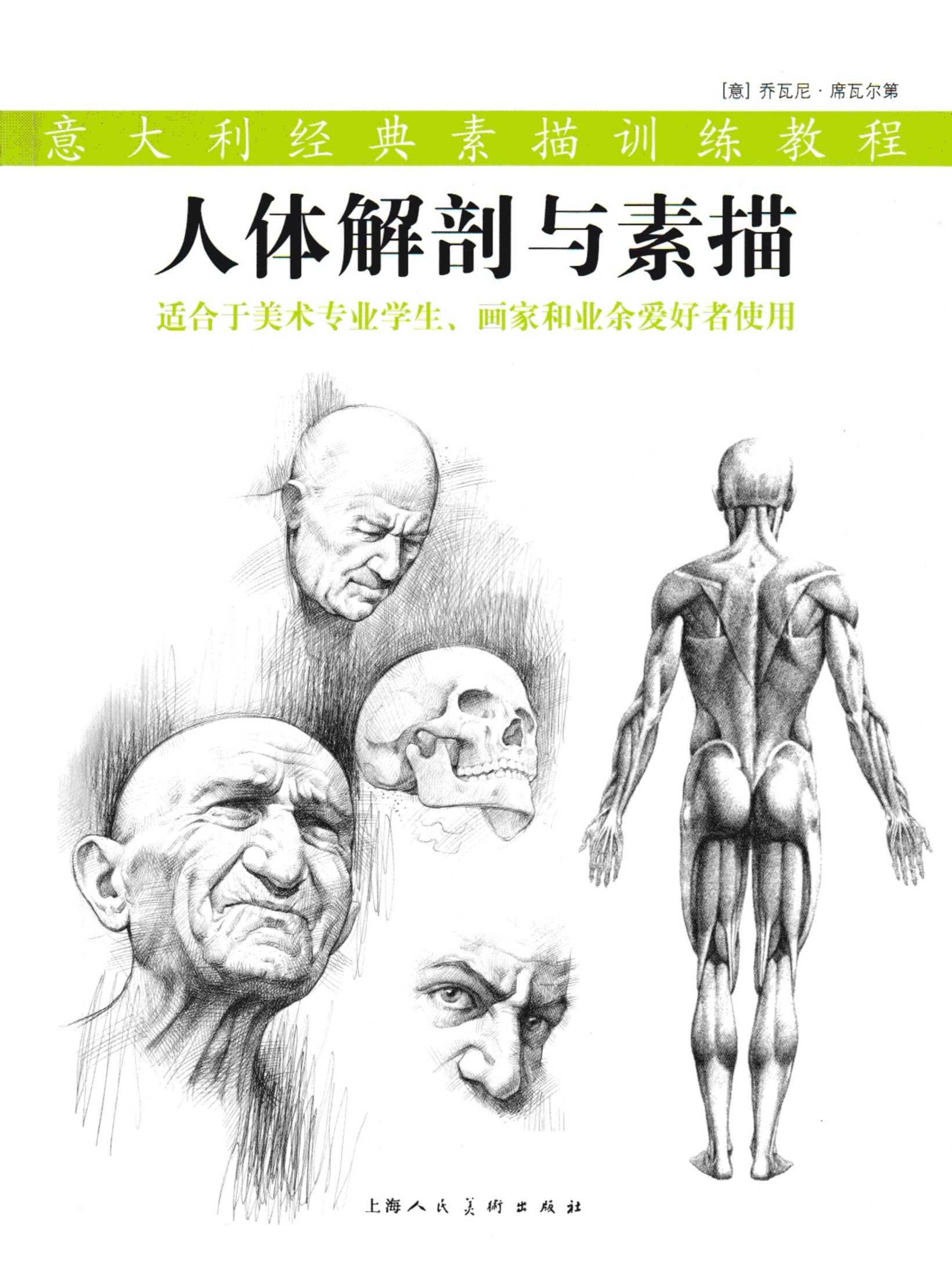 人体解剖与素描