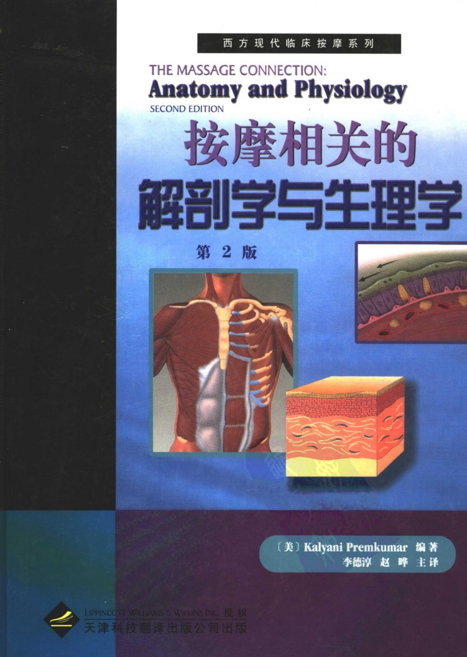 按摩相关的解剖学与生理学