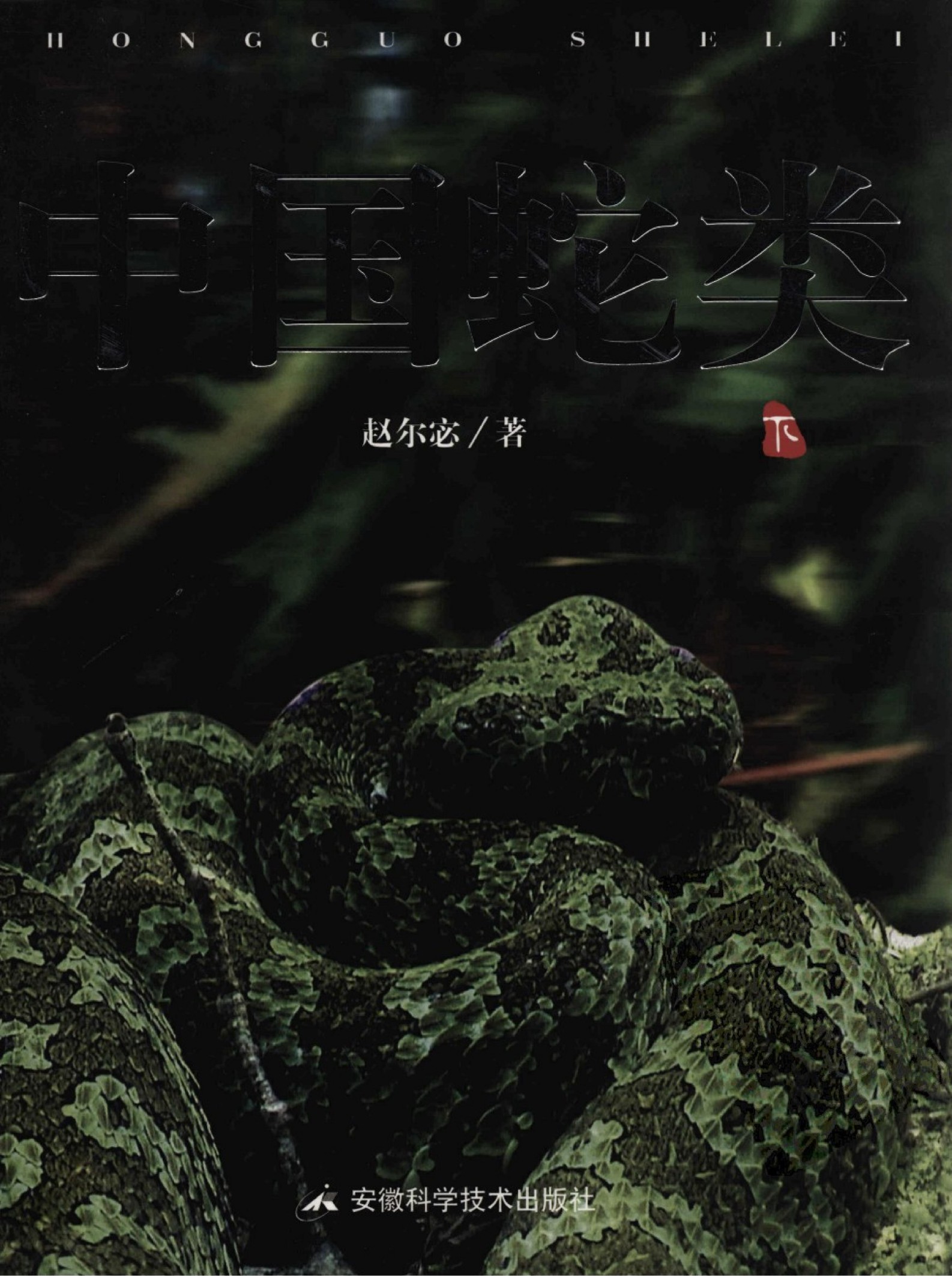 中国蛇类（下）