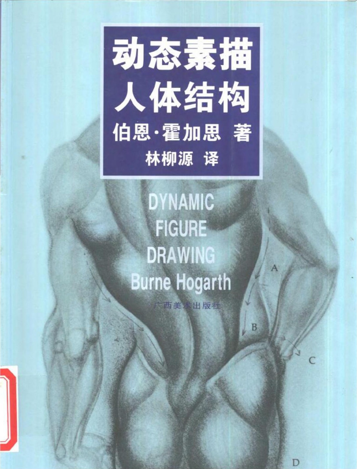 动态素描·人体结构