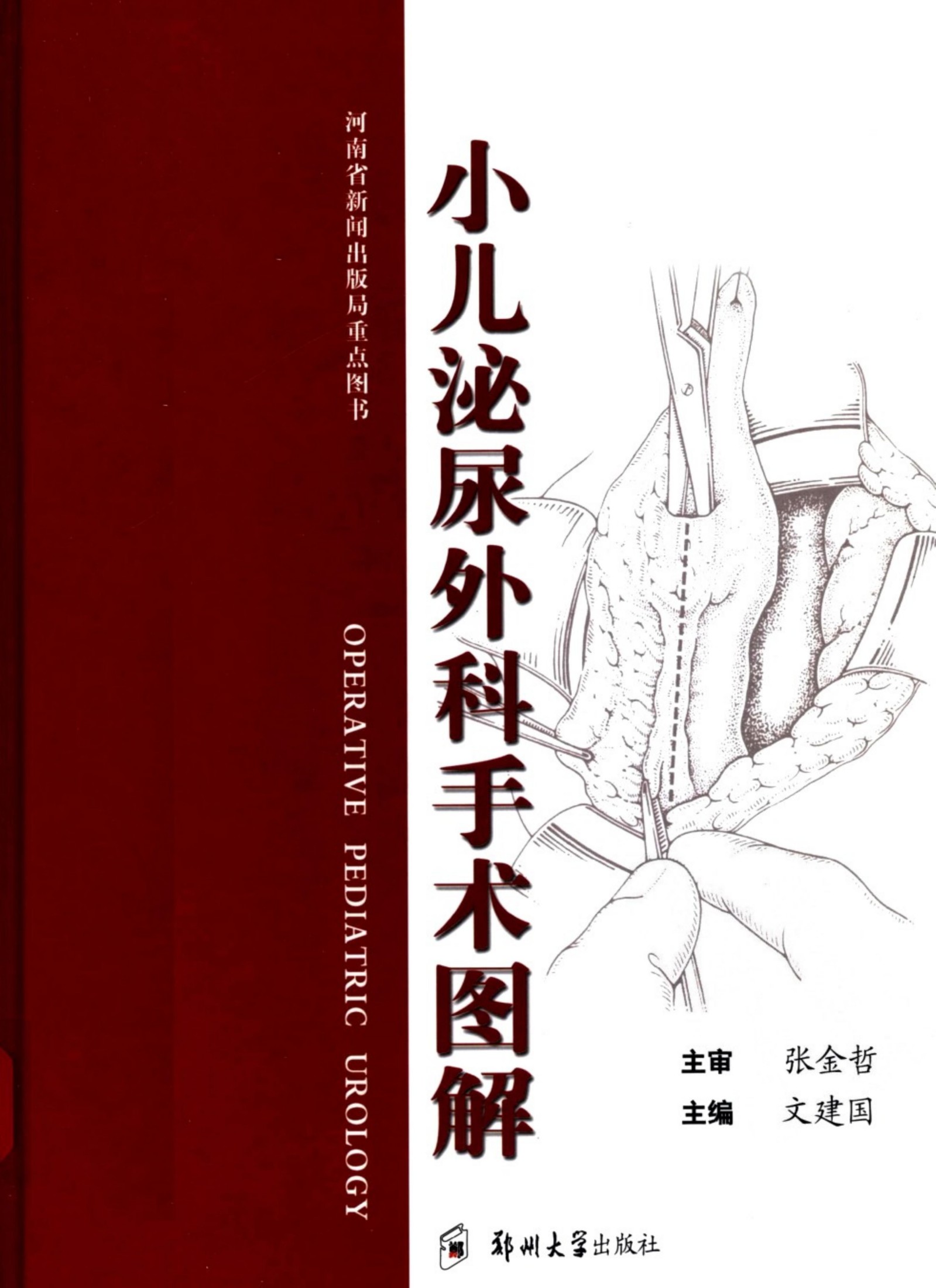 小儿泌尿外科手术图解