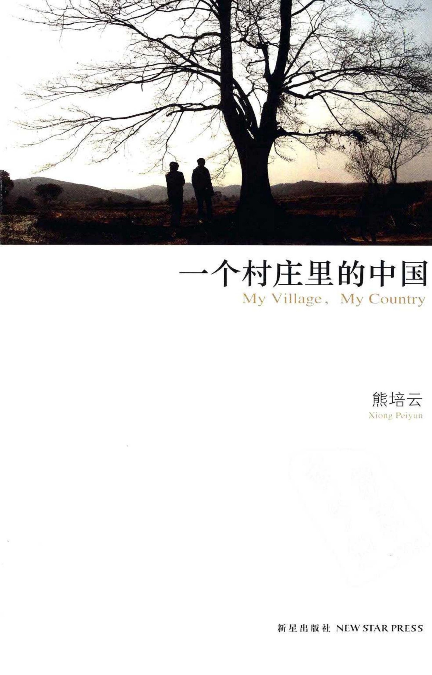 一个村庄里的中国