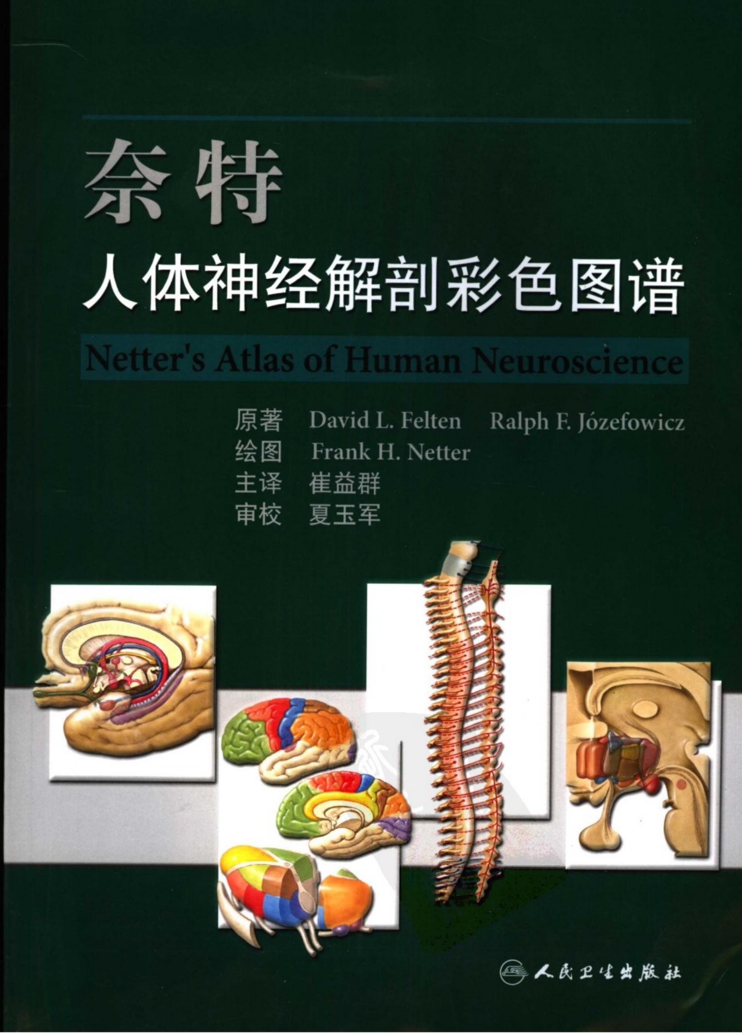 奈特人体神经解剖彩色图谱