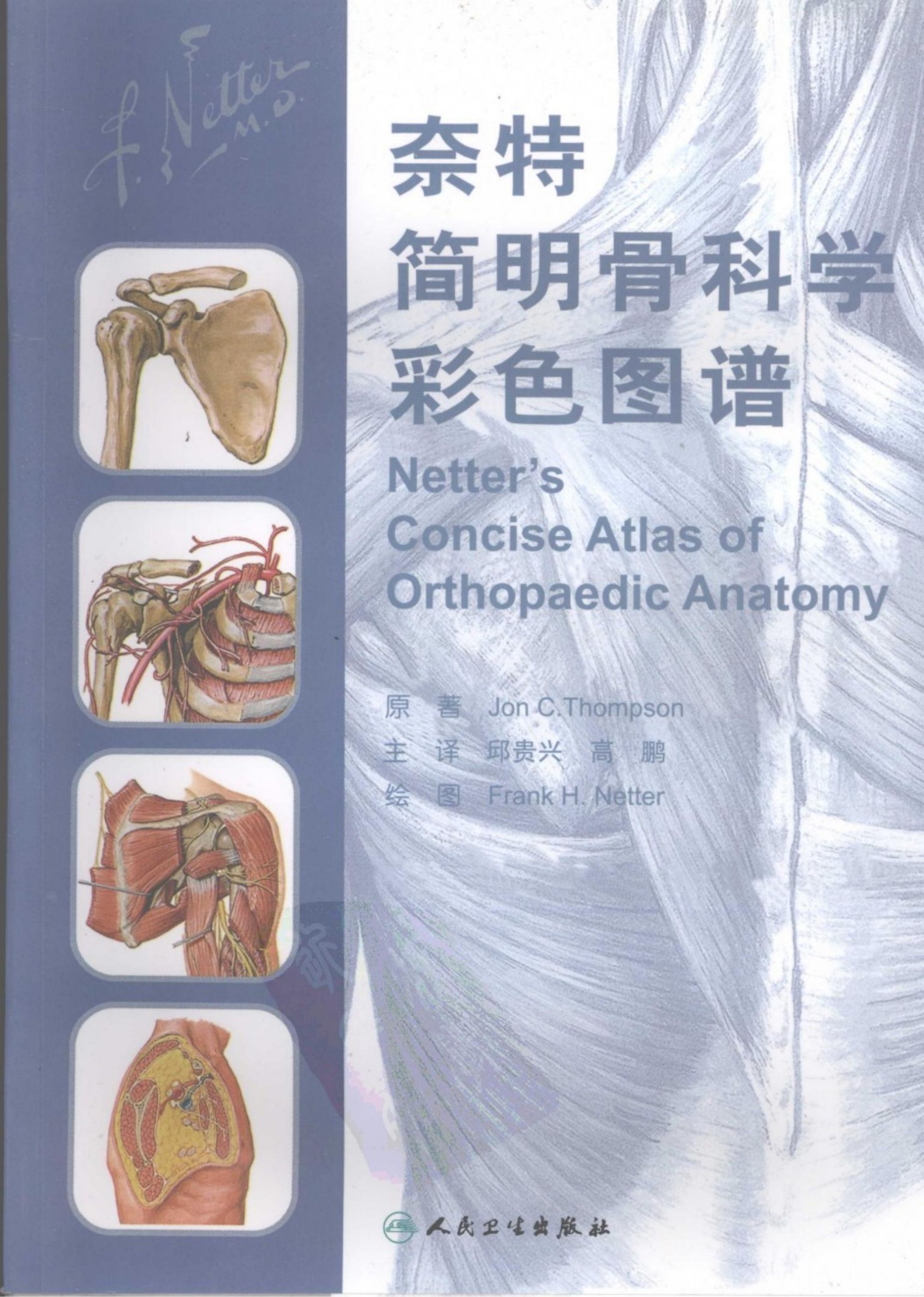 奈特简明骨科学彩色图谱