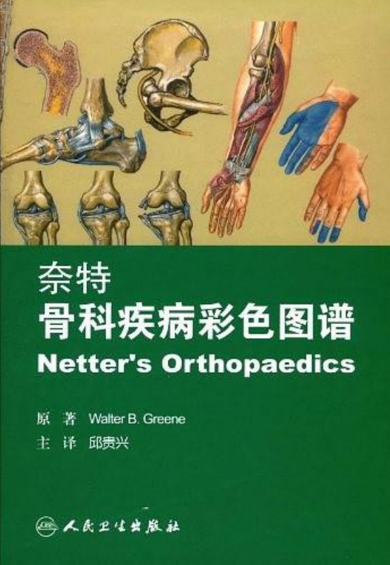奈特骨科疾病彩色图谱
