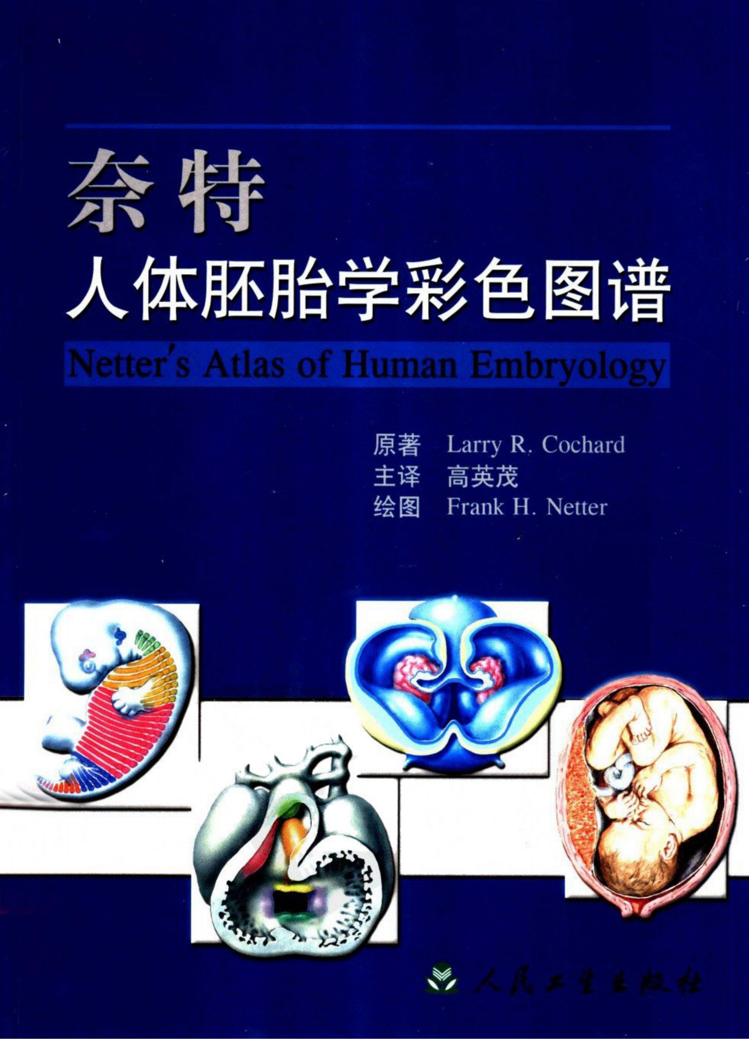 奈特人体胚胎学彩色图谱