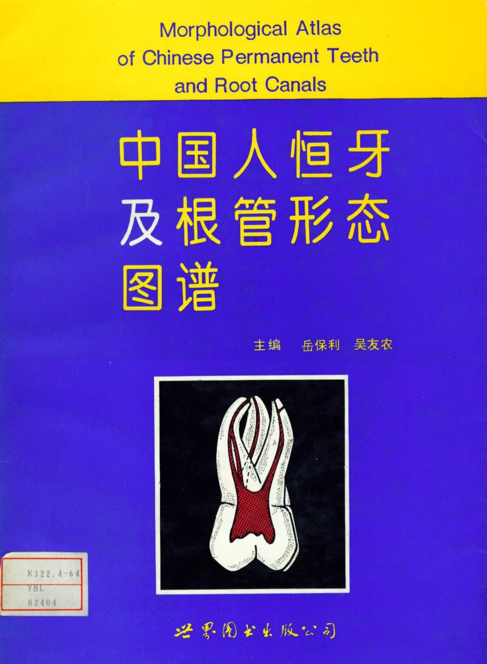 中国人恒牙及根管形态图谱