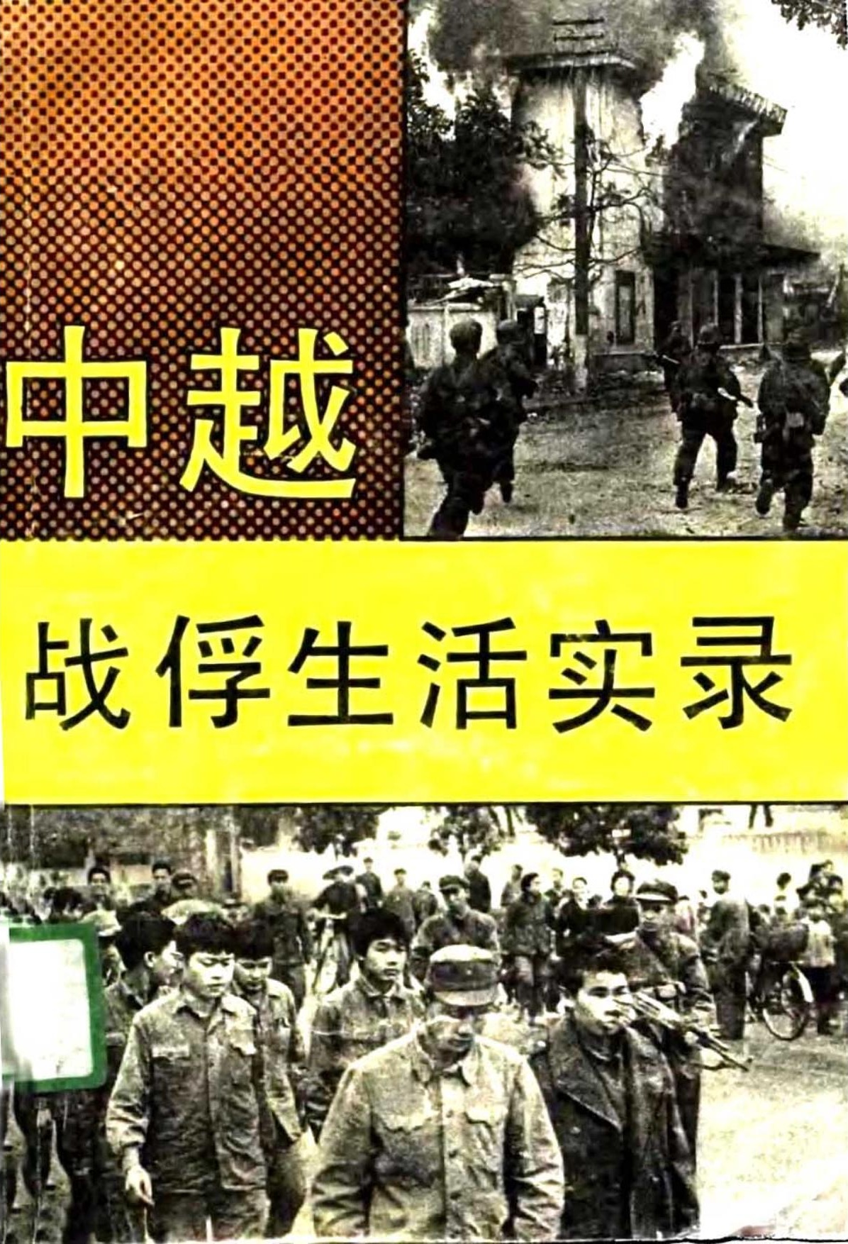 中越战俘生活实录