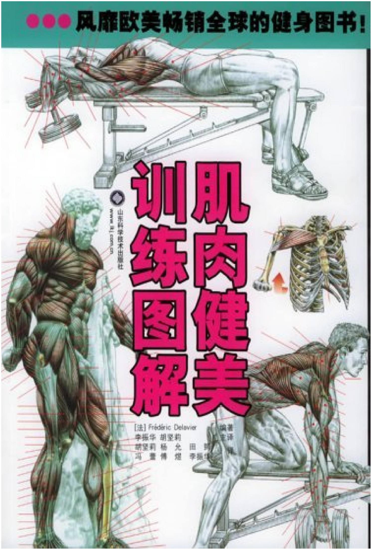 肌肉健美训练图解