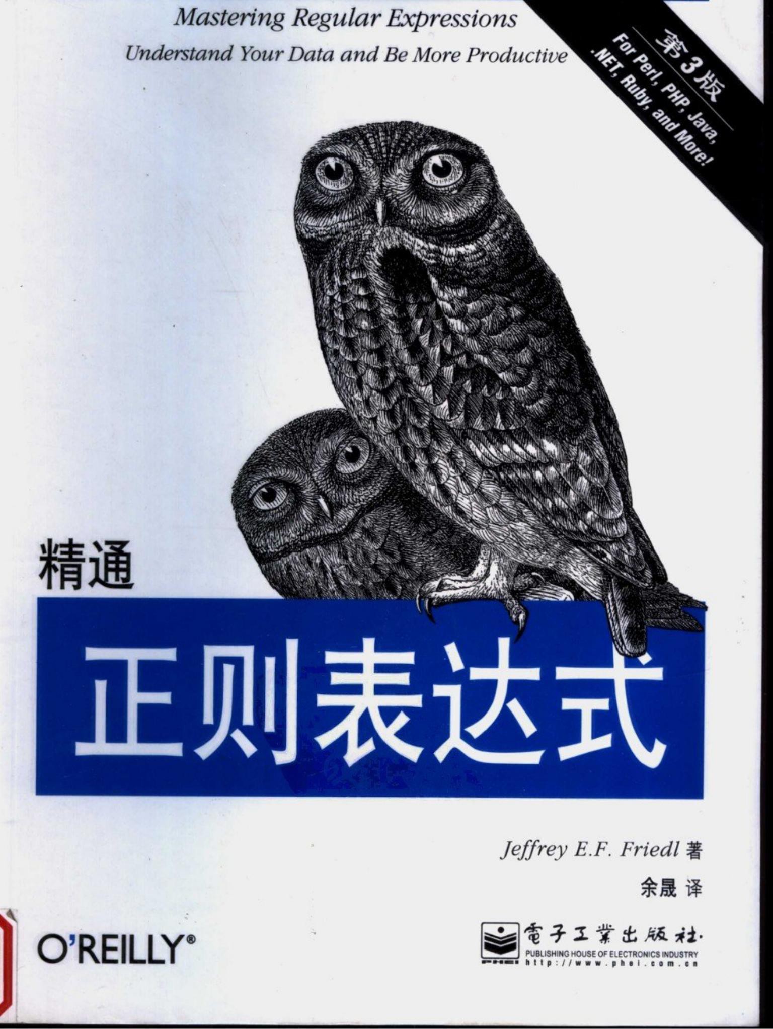 精通正则表达式