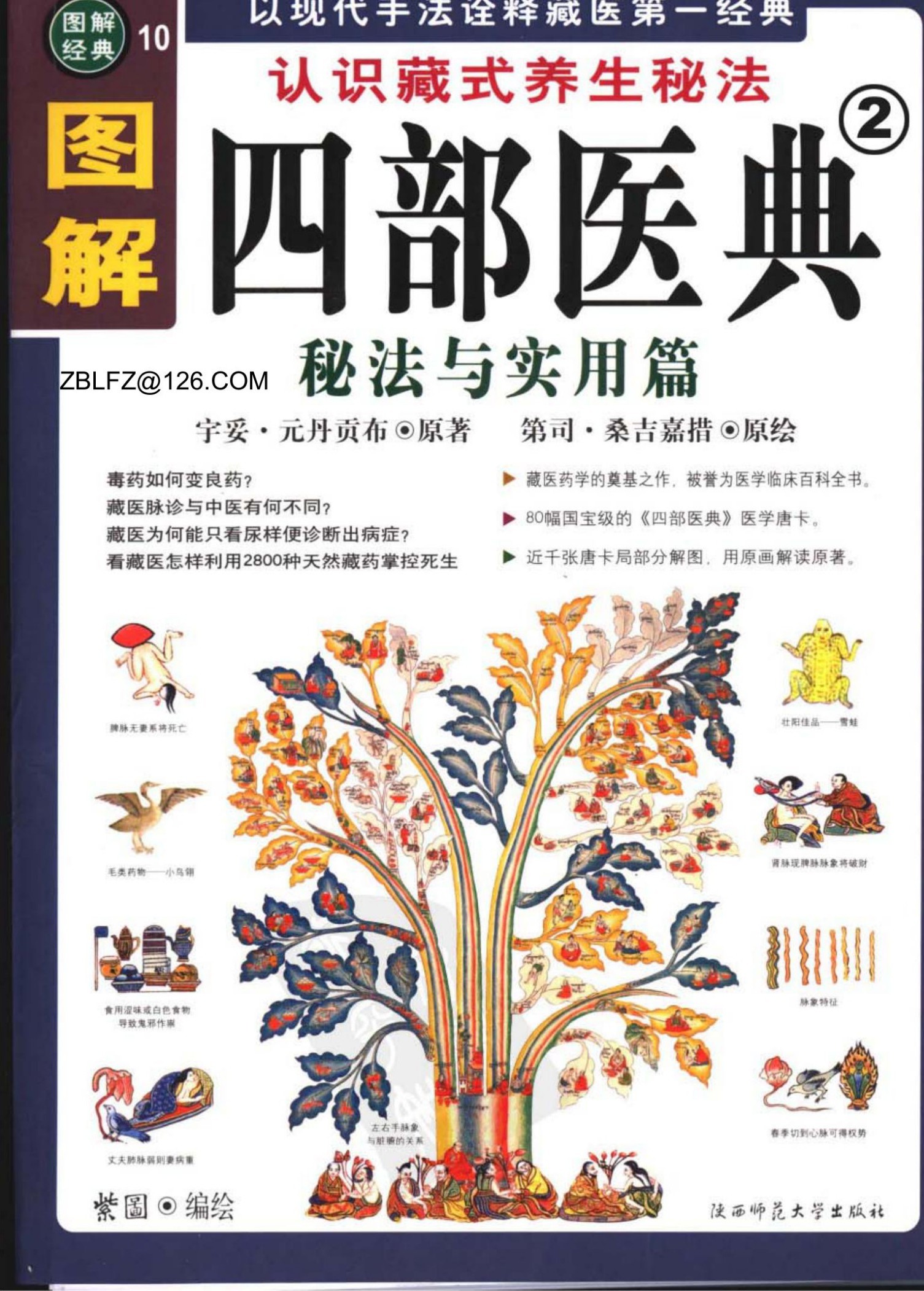 图解四部医典：秘法与实用篇