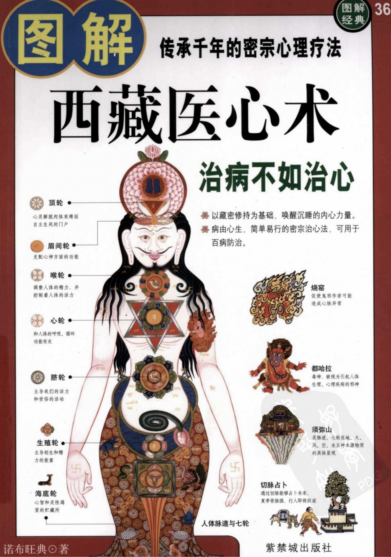 图解西藏医心术