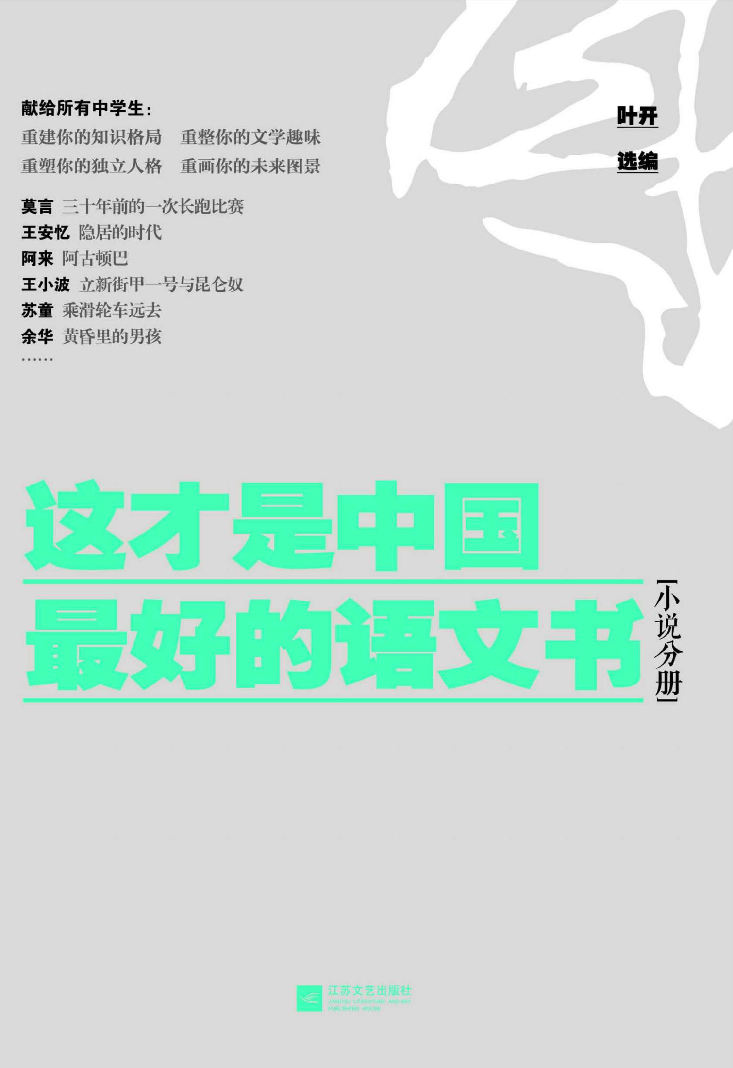 这才是中国最好的语文书：小说分册