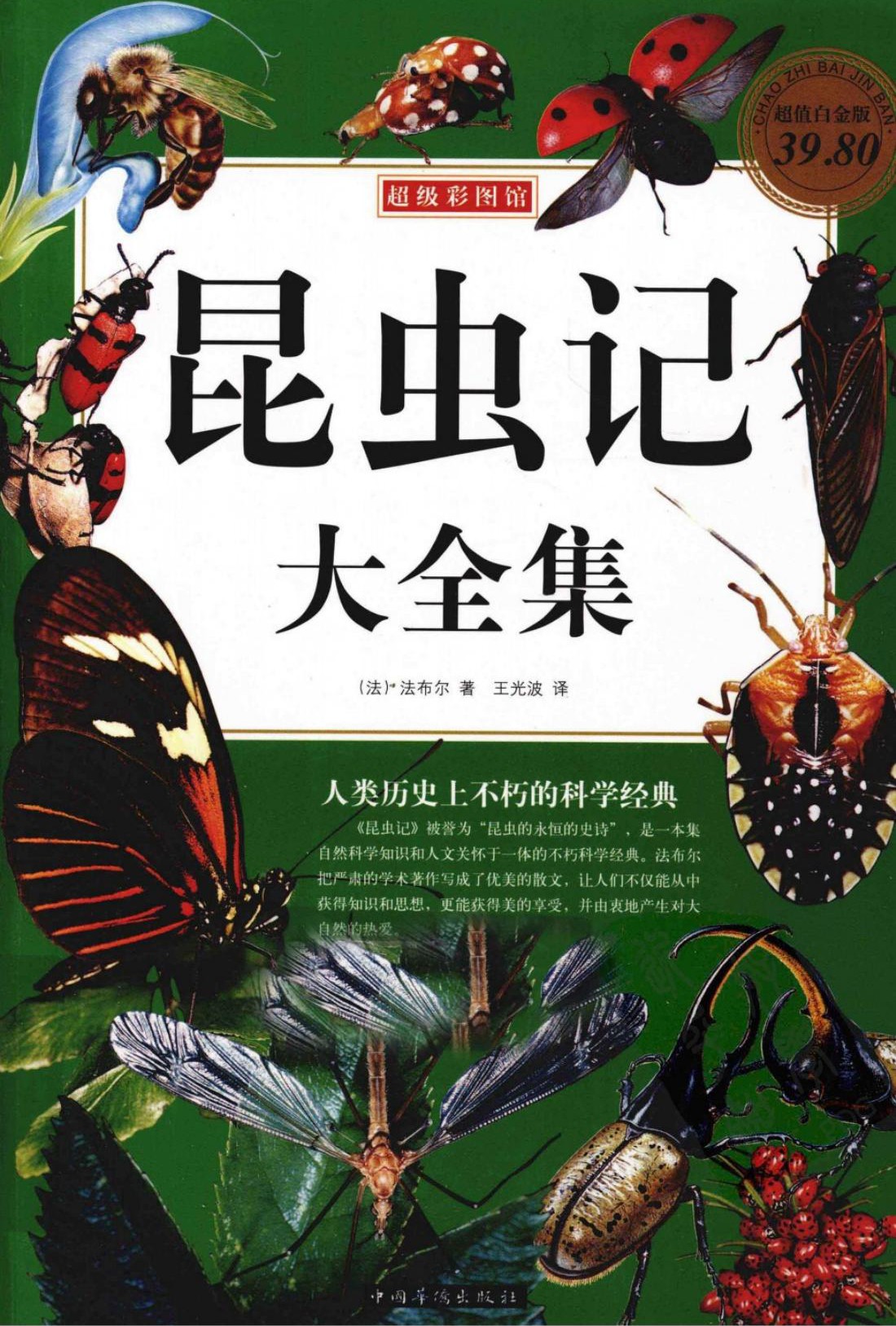彩图昆虫记 大全集