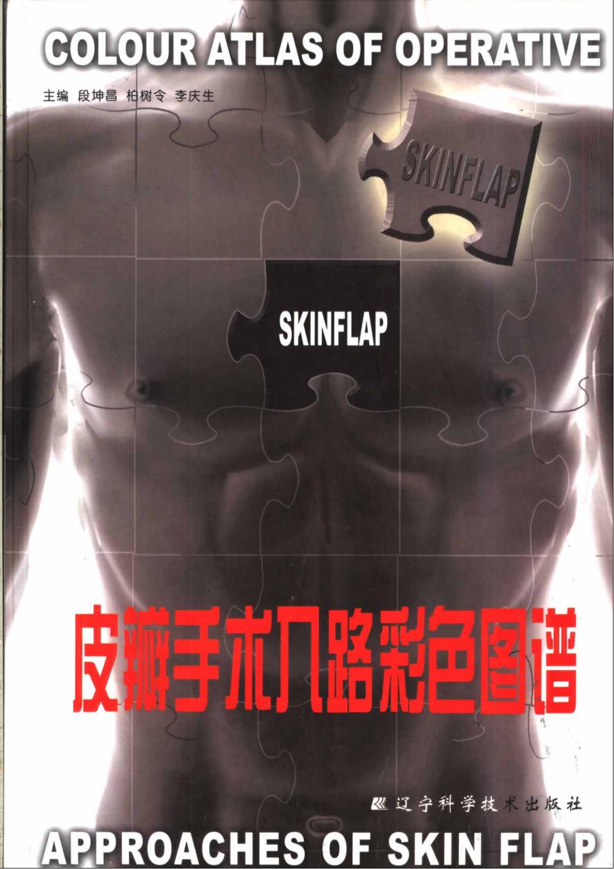 皮瓣手术入路彩色图谱