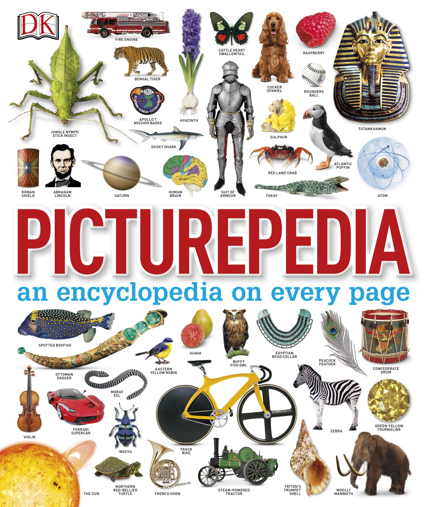 Picturepedia an enctclopedia on every page
