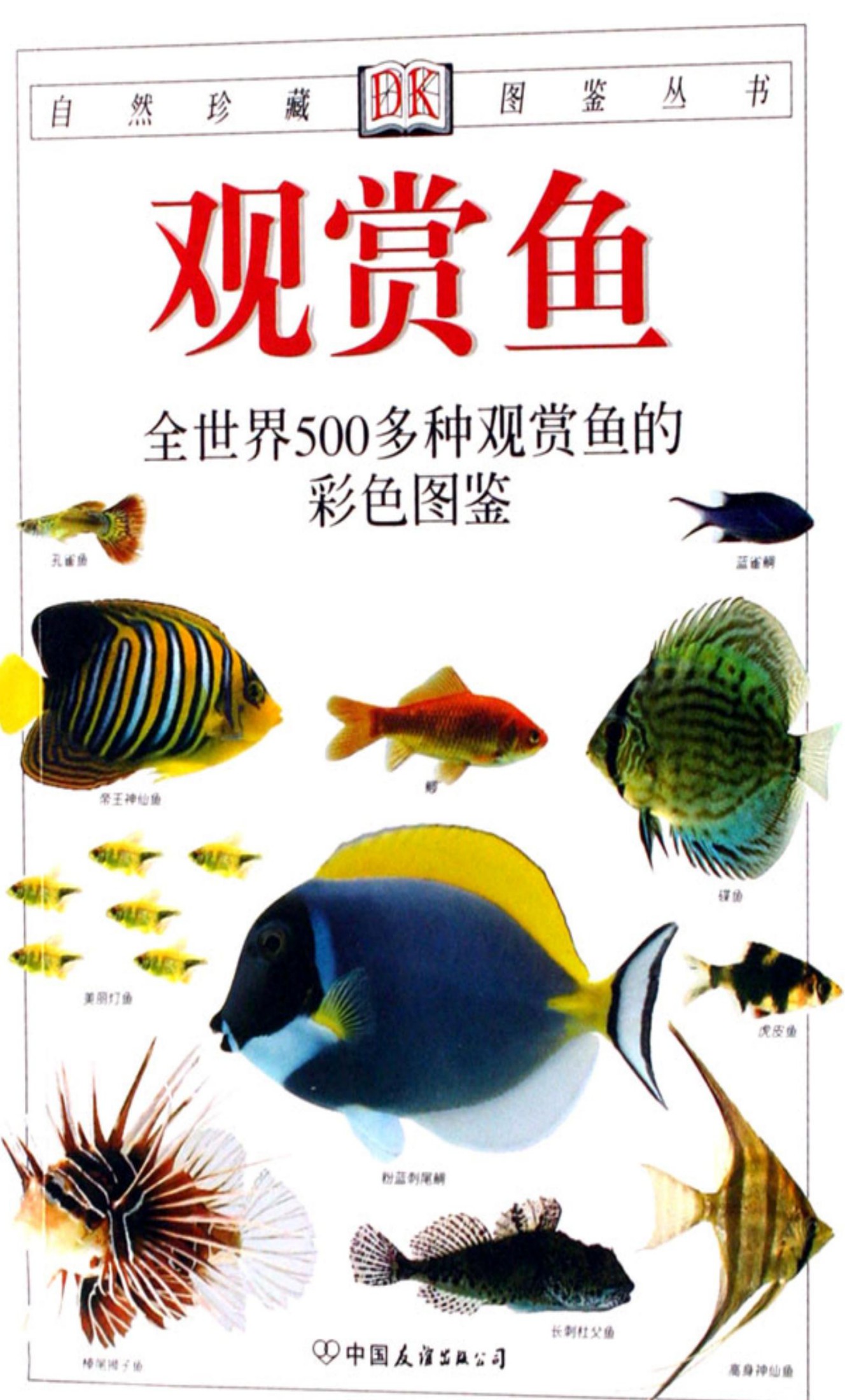 观赏鱼：全世界500多种观赏鱼的彩色图鉴