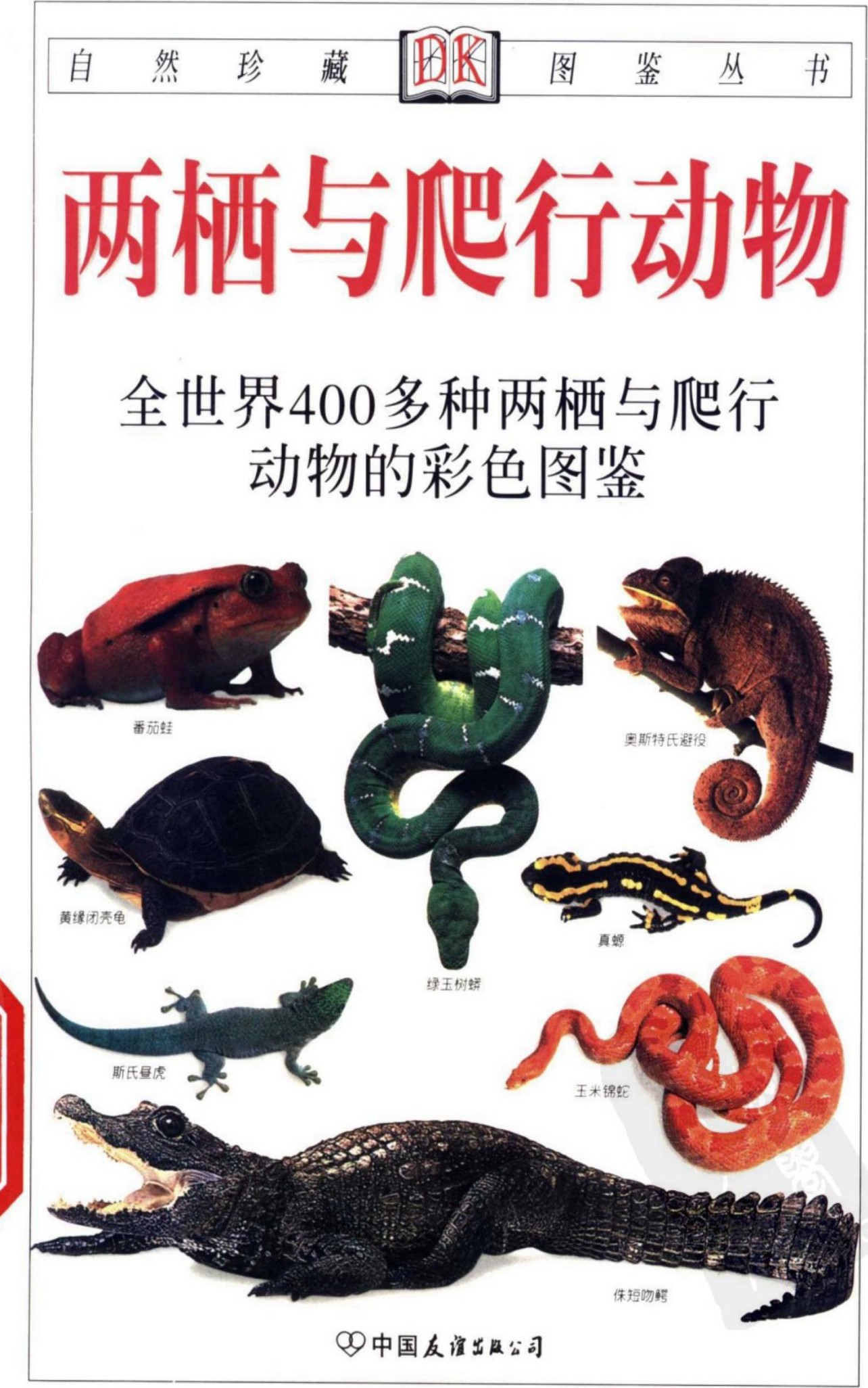 两栖与爬行动物：全世界400多种两栖与爬行动物的彩色图鉴