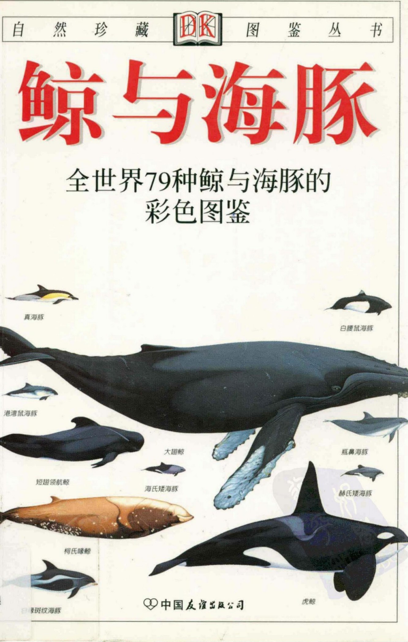 鲸与海豚：全世界79种鲸与海豚的彩色图鉴