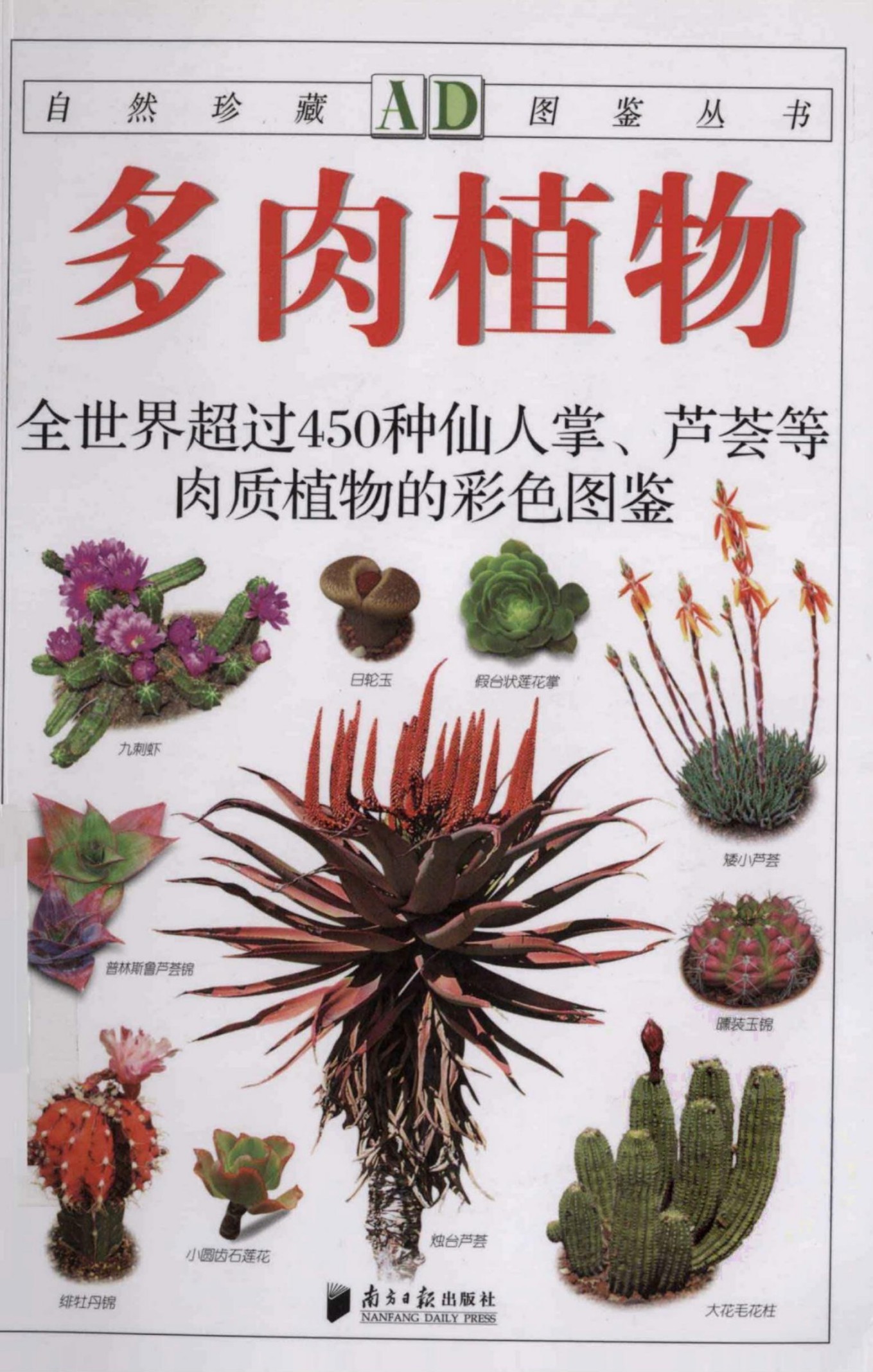 多肉植物：全世界超过450种仙人掌、芦荟等肉质植物的彩色图鉴