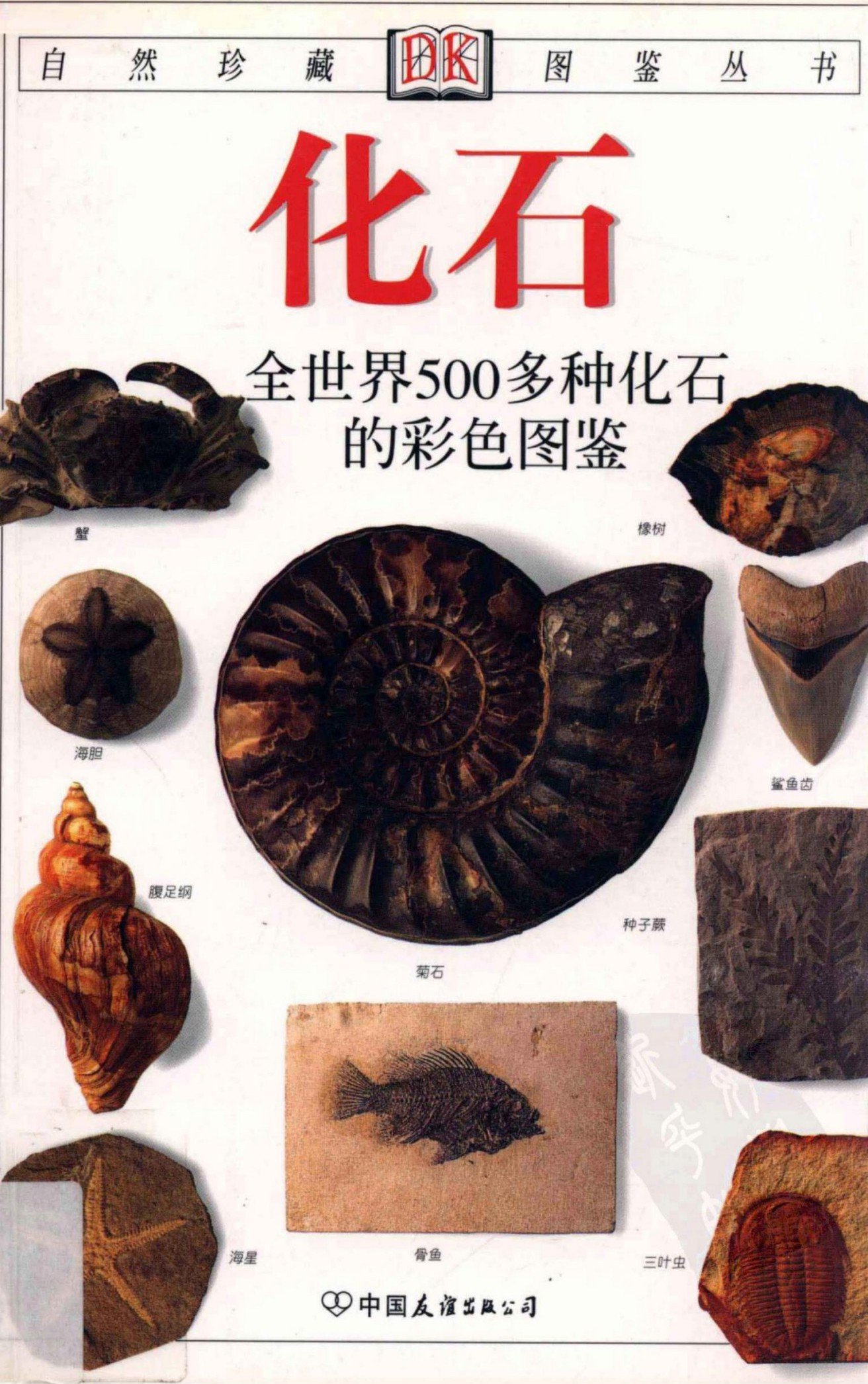 化石：全世界500多种化石的彩色图鉴