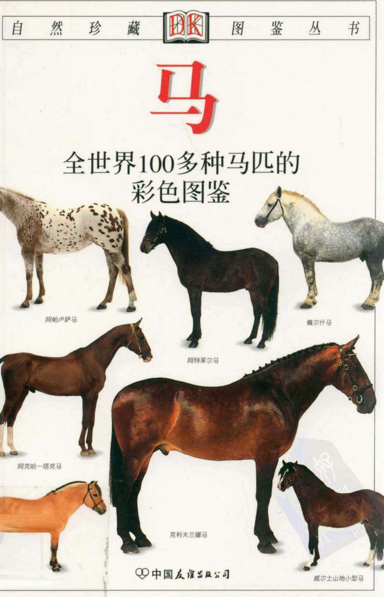 马：全世界100多种马匹的彩色图鉴