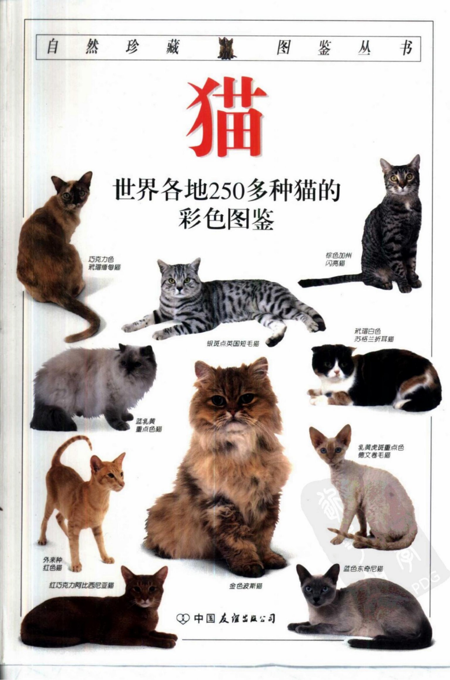 猫：世界各地250多种猫的彩色图鉴