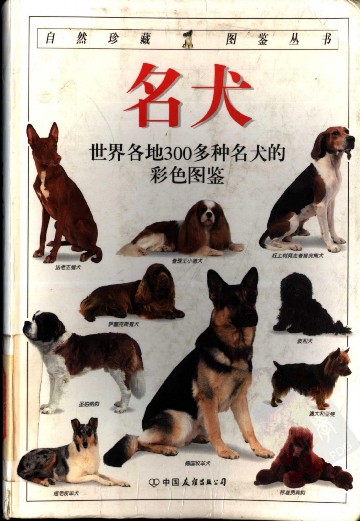 名犬：全世界300多种名犬的彩色图鉴