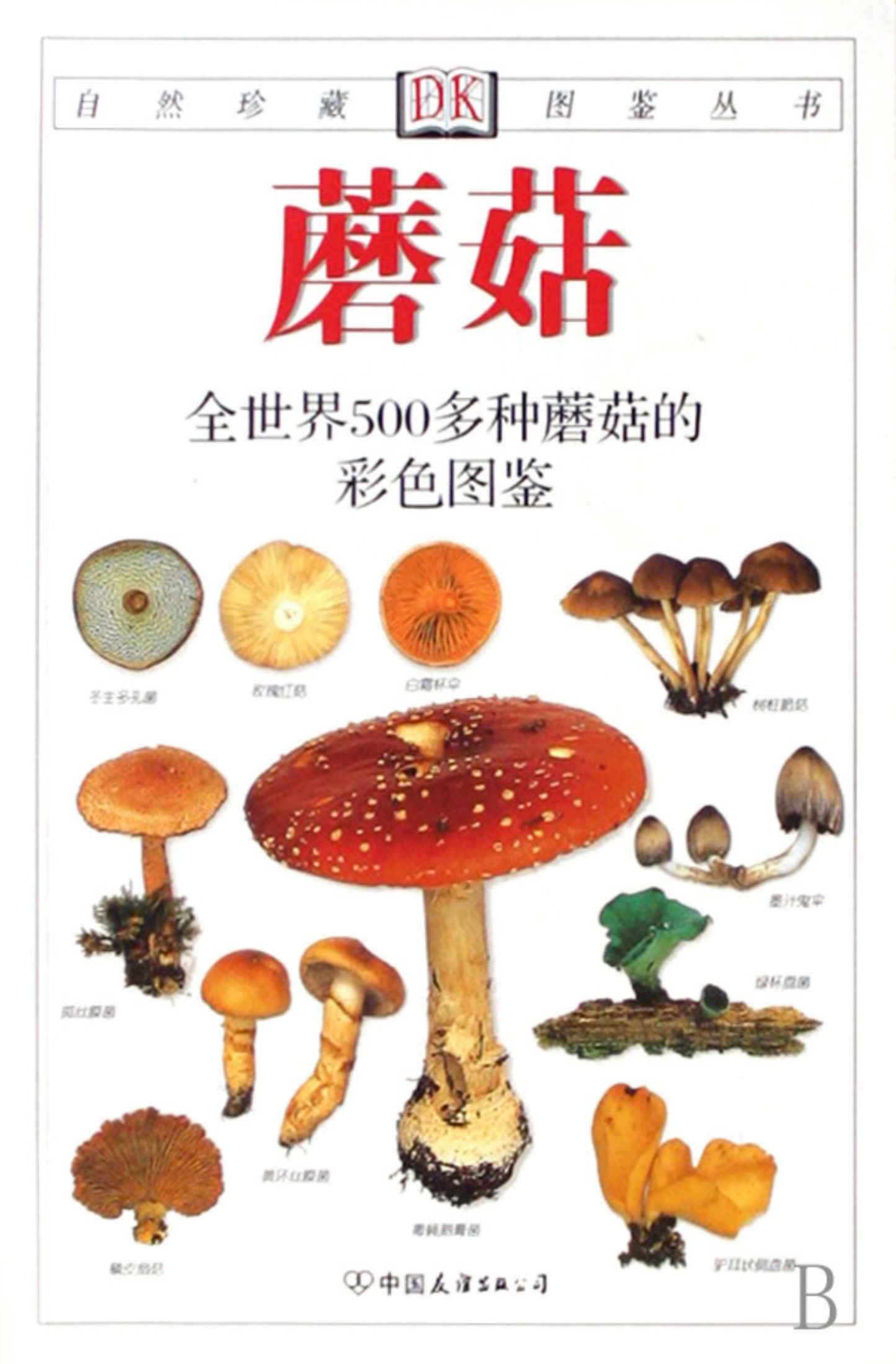 蘑菇：全世界500多种蘑菇的彩色图鉴