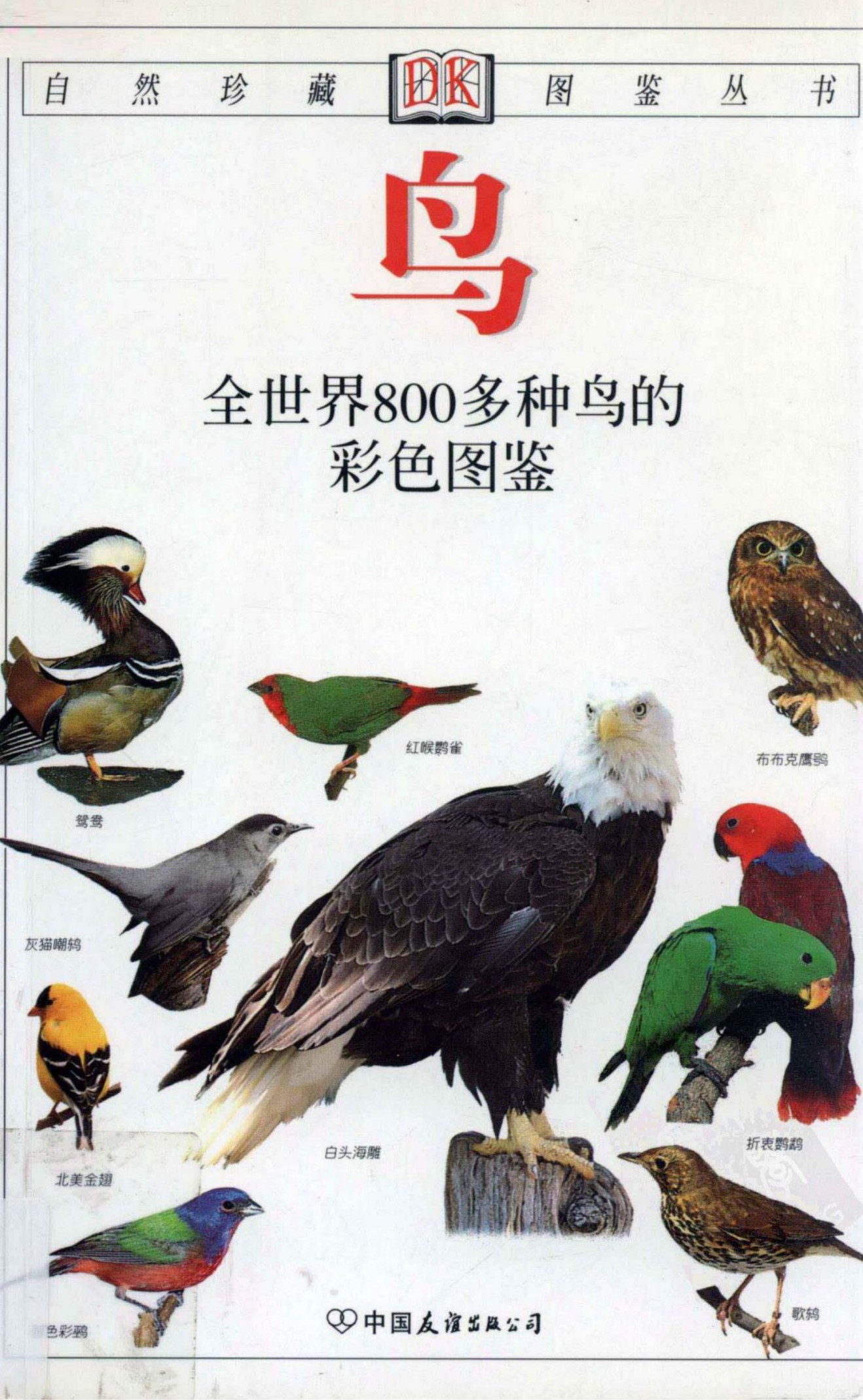 鸟：全世界800多种鸟的彩色图鉴